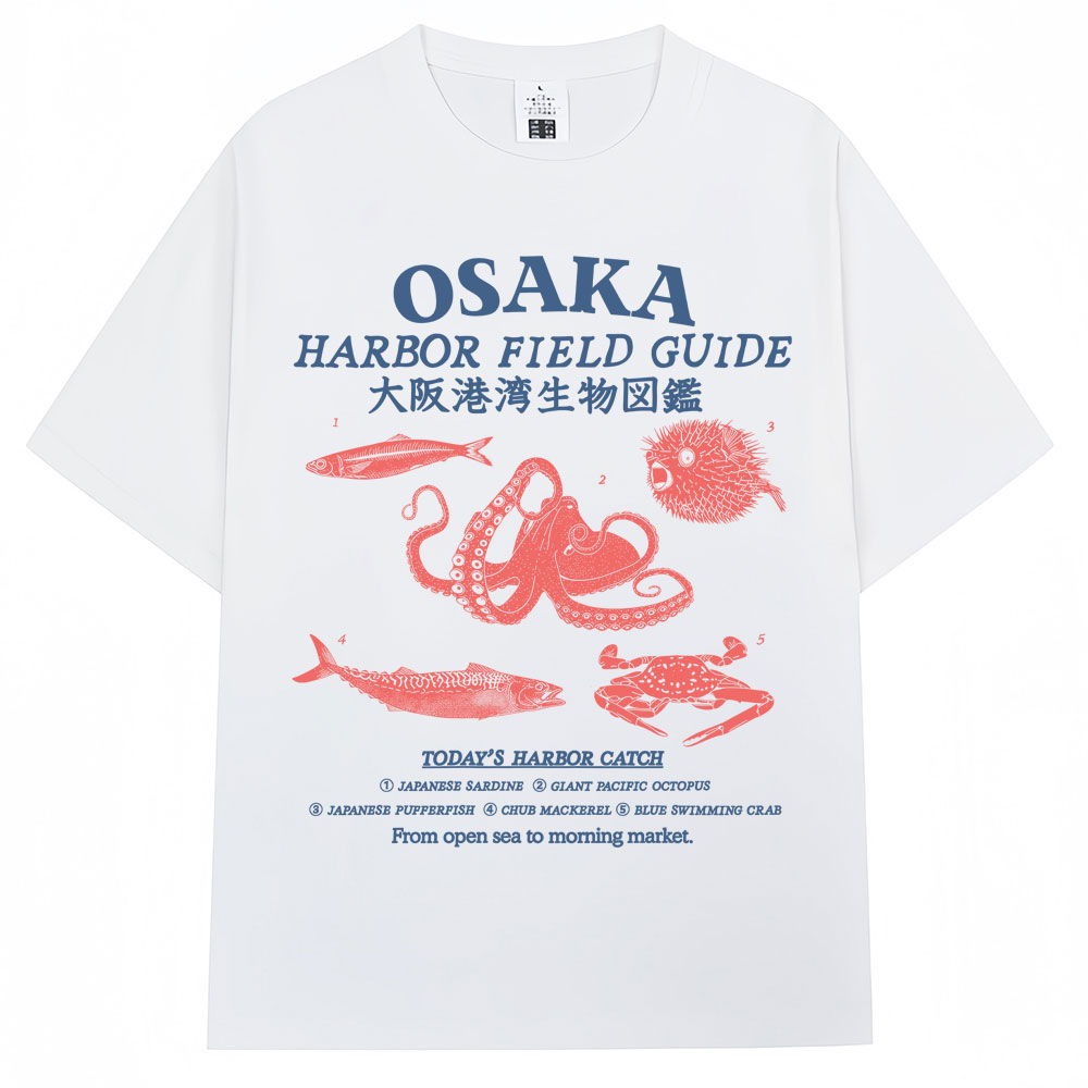 Camiseta gráfica estilo japoné - Japanese Women Lifestyle reseña y precio